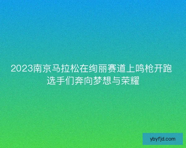 2023南京马拉松在绚丽赛道上鸣枪开跑 选手们奔向梦想与荣耀